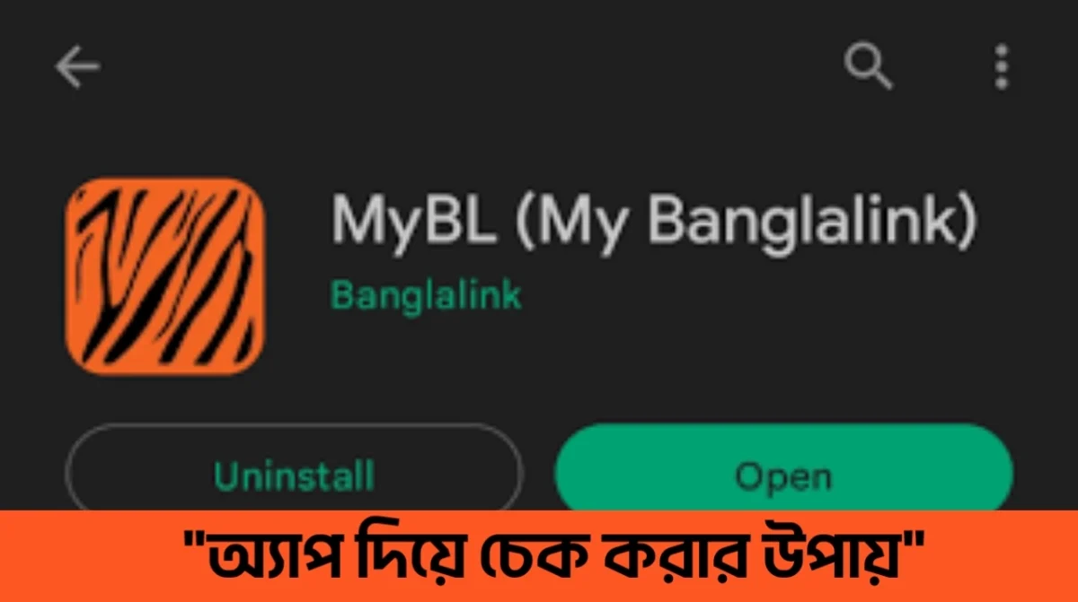 বাংলালিংক ব্যালেন্স চেক কোড ২০২৫।বাংলালিংক কোড দিয়ে চেক করার উপায় 2 বাংলালিংক ব্যালেন্স চেক কোড ২০২৫।বাংলালিংক কোড দিয়ে চেক করার উপায়